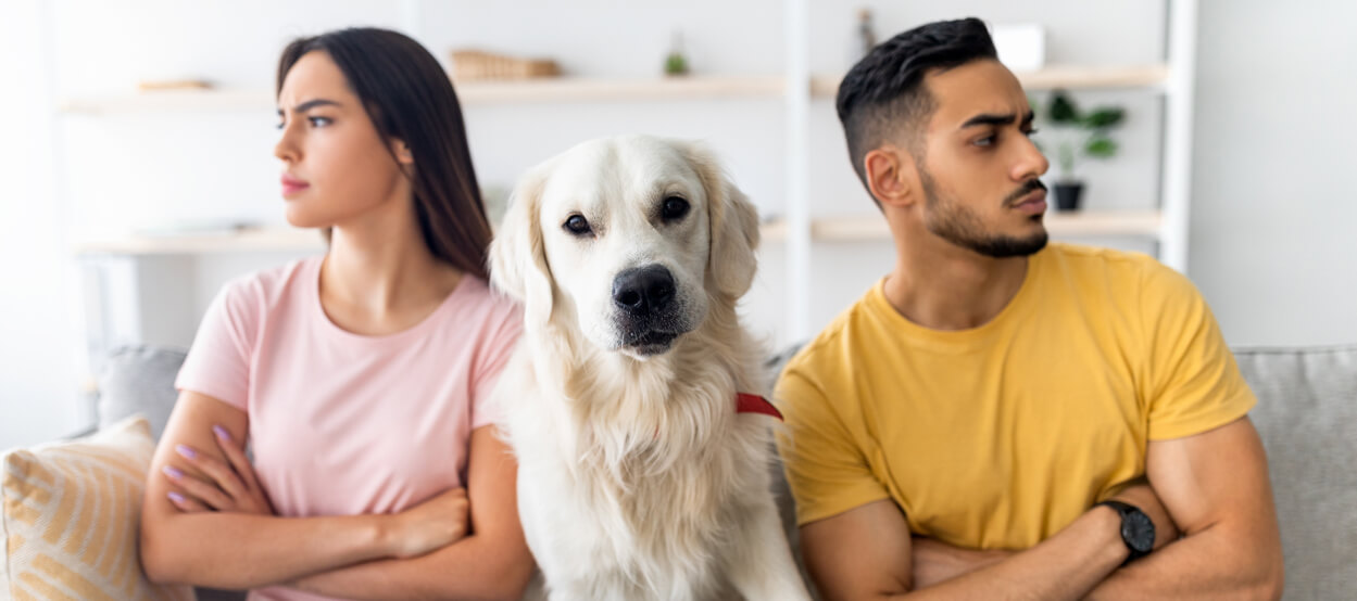 A dog sitting between two people on opposite sofas, conveying separation and emotional conflict